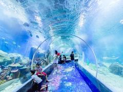 -顺德南宏海立方海洋公园