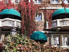 -成桂西餐厅·42年的味道(五大道疙瘩楼店)