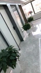 -悟空祛痘·诺奖技术专业店