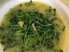 上汤豆苗-陈生记黑鱼馆·20年活鱼现杀(宁波鼓楼店)