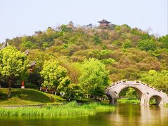 -绍兴镜湖国家城市湿地公园
