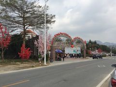 -田野绿世界