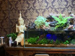 -域SPA·足疗·按摩·养生(静安寺店)