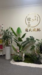 -寇氏减肥