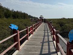 -北海金海湾红树林生态旅游区