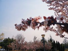 -鉴湖国家城市湿地公园