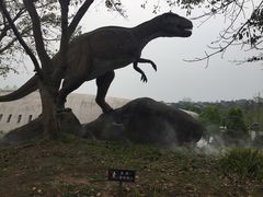 -自贡恐龙博物馆