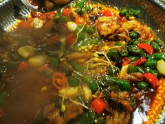 -肥家大排档(天河体育西店)