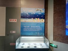 -安徽省地质博物馆