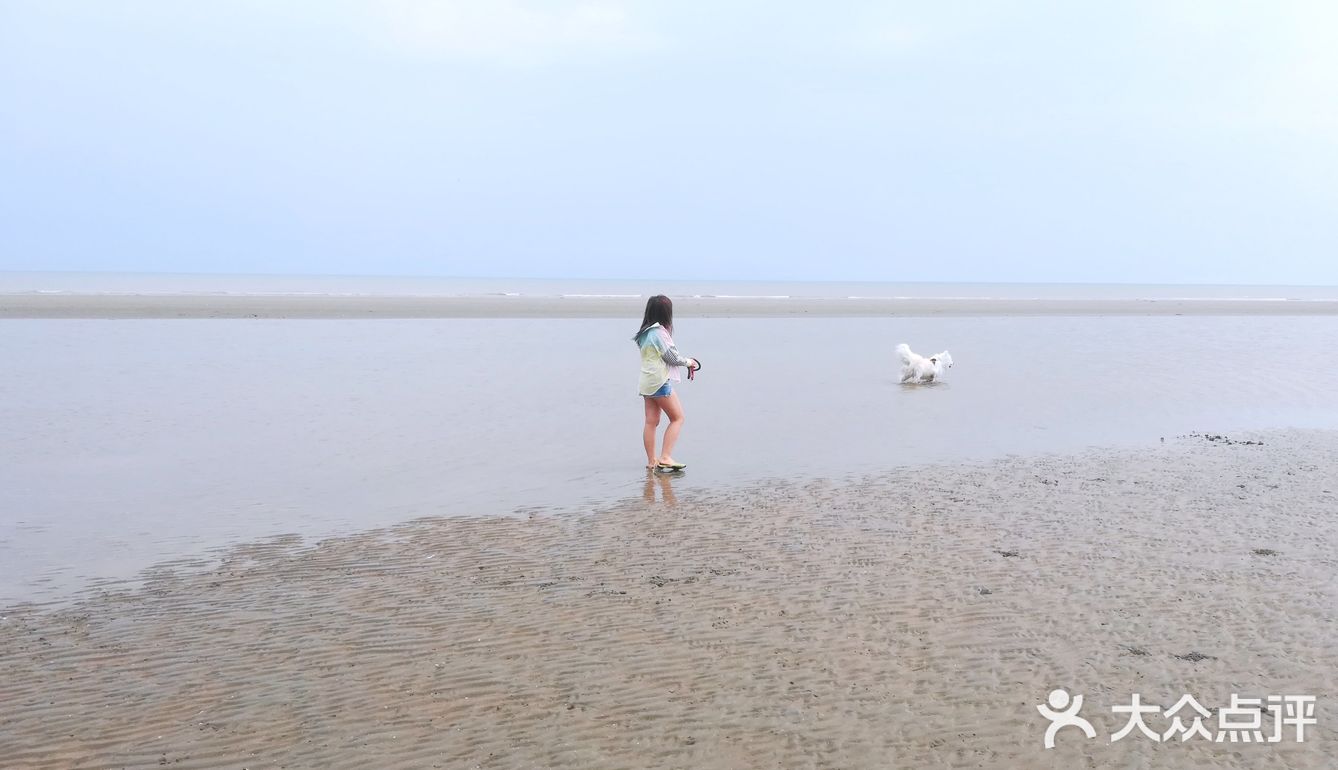 说走就走🌞拖家带狗🐶
