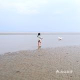 说走就走🌞拖家带狗🐶