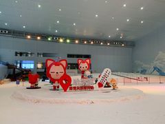 -哈尔滨热雪奇迹