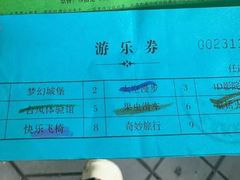 -朝阳公园游乐园