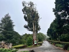 -昆明植物园