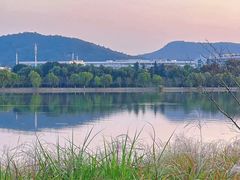 -羊山湖公园