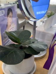 -美莱医疗美容医院