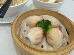 -圣丰盛宴酒家(东城店)