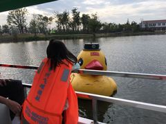 -上海长兴岛郊野公园