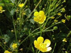 -泰安地下龙宫景区