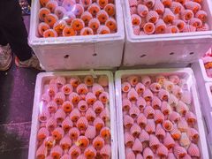 -双福水果批发市场