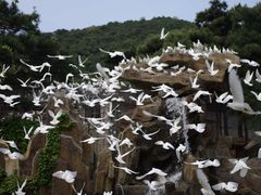 -燕塞湖鸟语林景区