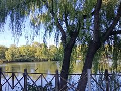 -稻香湖景欢乐岛温泉城堡