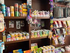 -宠爱国际动物医院· 猫科· 外科·中兽医(长白店)