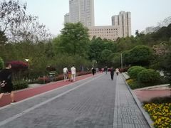 -龙头寺公园