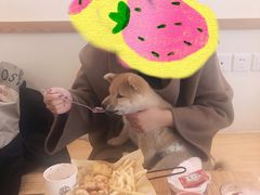 -柴犬小屋·柴餐厅·狗咖食堂(金鼎广场店)