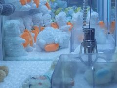-爱玩嘉年华(江北一店)