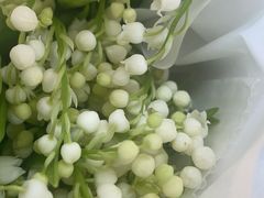 -花邻FloweringLife花艺气球派对(武康大楼店)