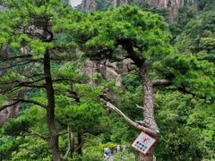 -三清山风景名胜区