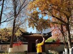 -郑和公园
