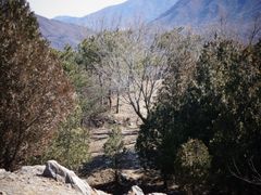 -大觉寺-停车场