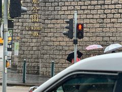 -九龙公园