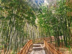 -乌镇东栅景区