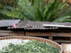 -杨家堂村