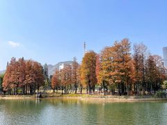 -四海公园(南山区)