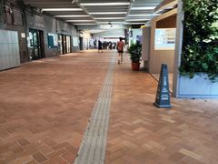 -香港大学