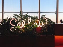 -Seesaw Coffee(朝阳大悦城店)