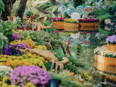 -上海共青森林公园