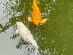 -三里河公园