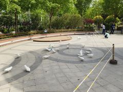 -南宫五洲植物乐园