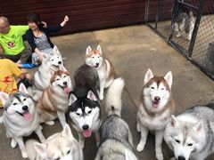 -TrueLove @ Neverland (Husky Cafe)