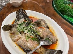 清蒸石斑鱼-韩山苑·潮州美食·私房菜(天安数码时代大厦店)