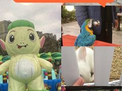 -南宁市凤岭儿童公园