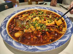 -新概念来凤鱼(璧山店)