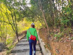 -广州白江湖森林公园