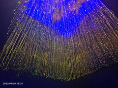 -不可思议减压馆·解压博物馆·摔碗发泄·团建定制