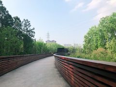 -昆山城市生态森林公园